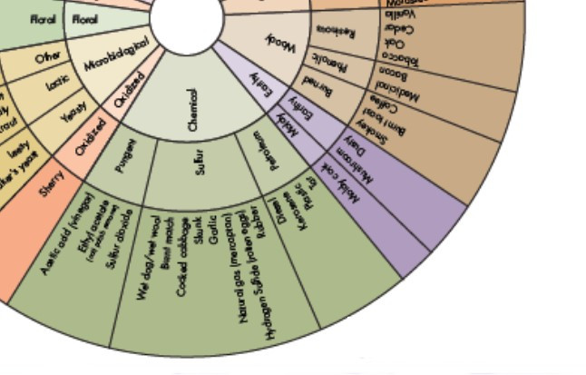 AromaWheel